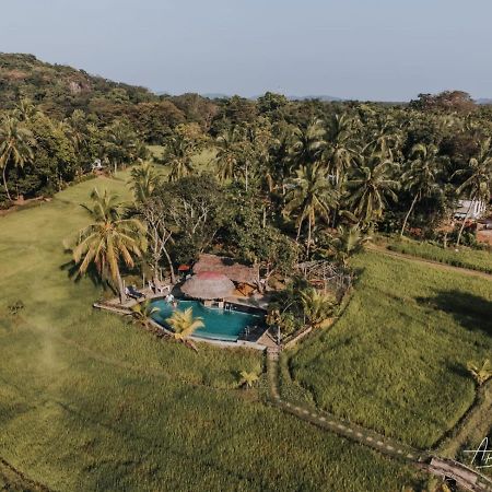 Nelu Resort Sigiriya Exterior foto
