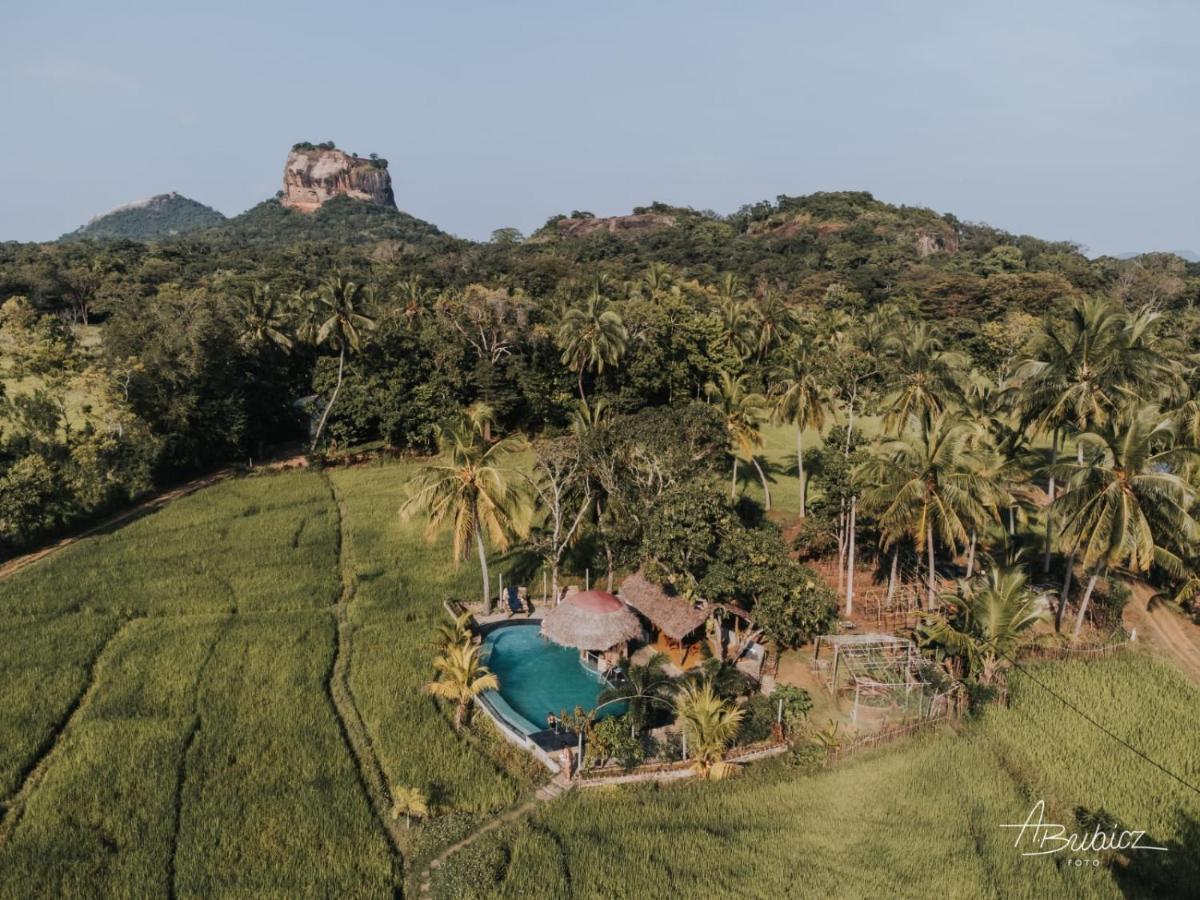 Nelu Resort Sigiriya Exterior foto